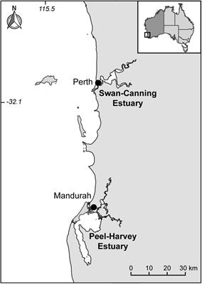 Who You Speak to Matters: Information Sharing and the Management of a Small-Scale Fishery